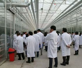 永通科技亮相京津冀，共探蔬菜工廠化生產(chǎn)新路徑