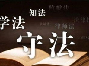 深圳免費(fèi)法律咨詢指南 專業(yè)知識(shí)產(chǎn)權(quán)、商務(wù)糾紛與婚姻家庭關(guān)系解析
